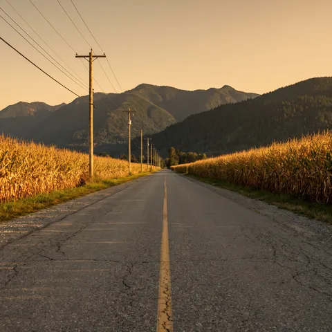 Generated scene: a quiet two-lane country road running straight between walls of ripe corn toward forested mountains at golden hour.